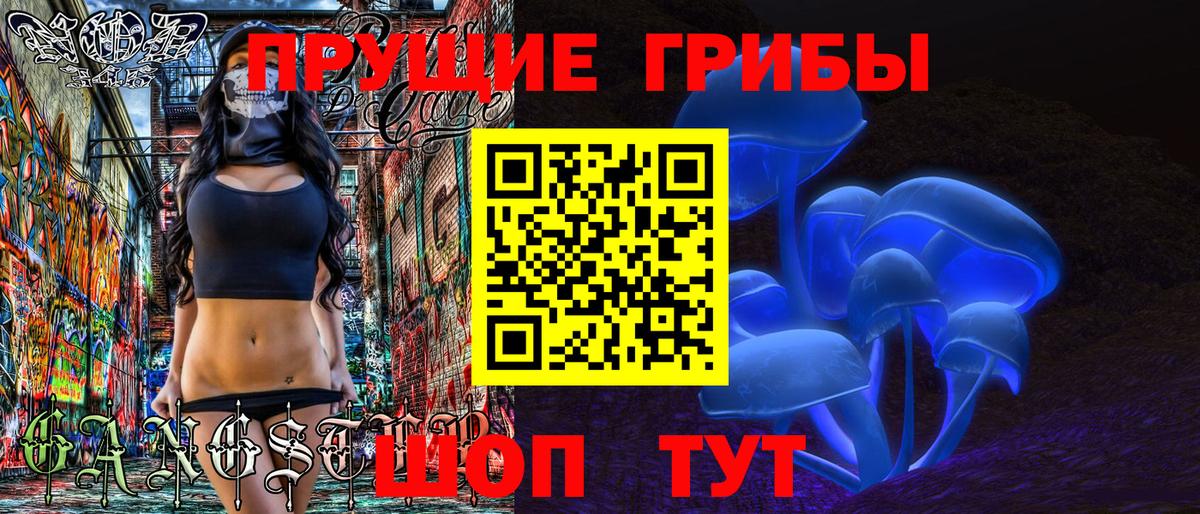 Галлюциногенные грибы Cubensis  Вход с VPN  Медногорск 